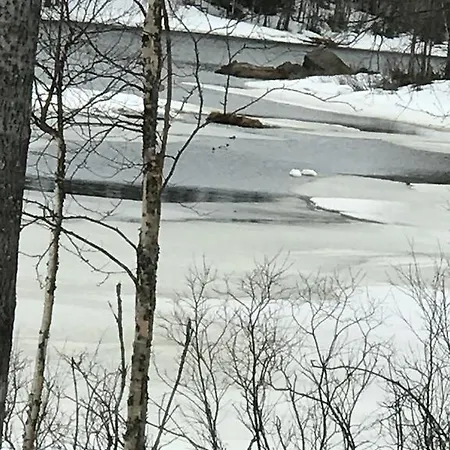 Somosenranta * Oikarainen